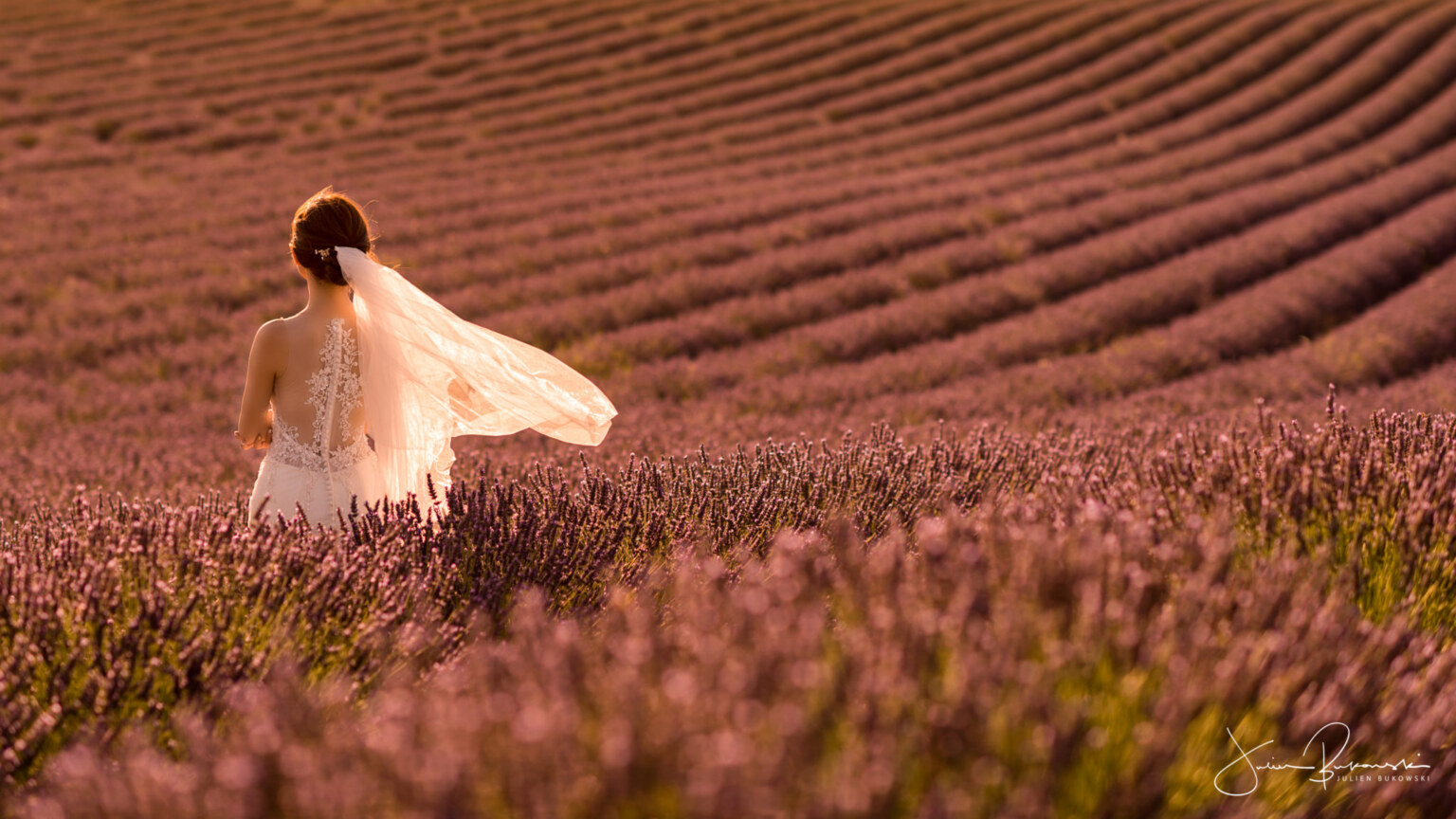 Just Married (Valensole - France)