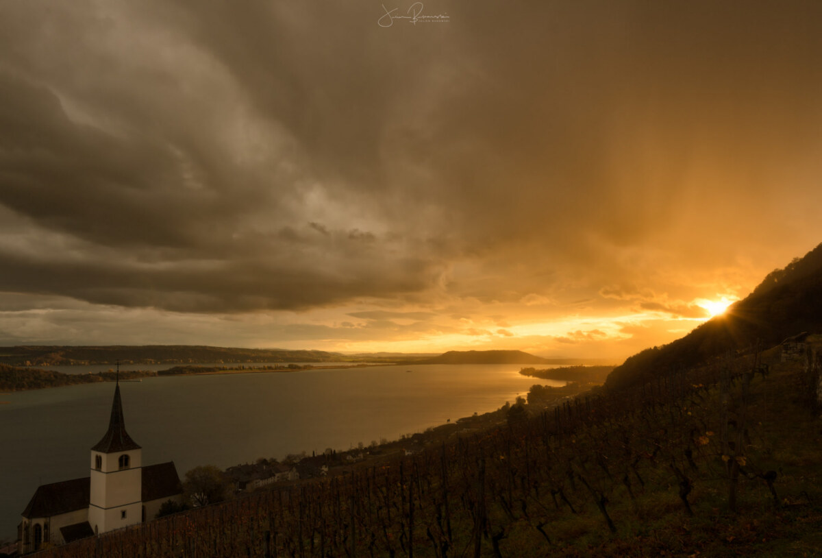 Ligerz (Suisse)
