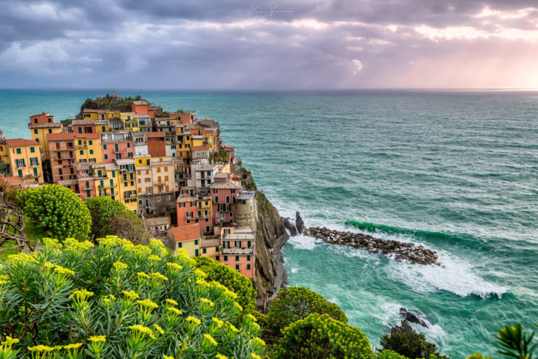 manarola cinque terre italie Manarola et fleurs (Cinque Terre - Italie)