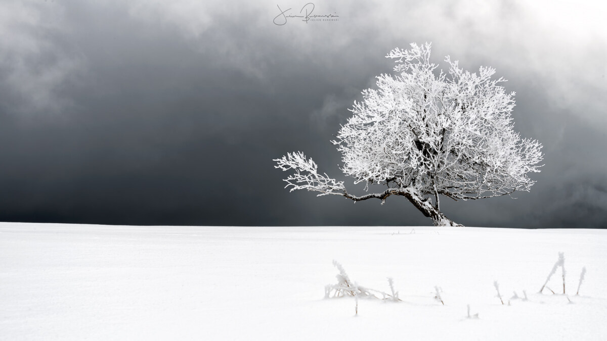 Blanc (Creux du Van – Suisse)