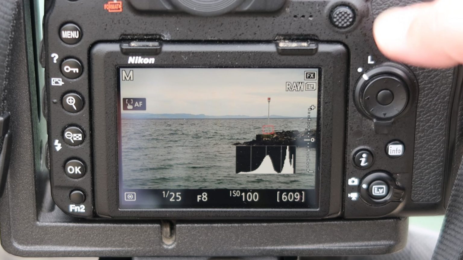 Appareil photo Histogramme Nikon D850 Appareil photo Histogramme Nikon D850