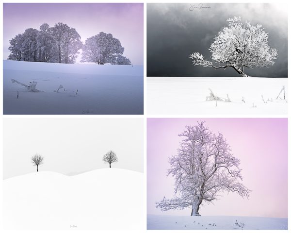 Apprendre photo hiver