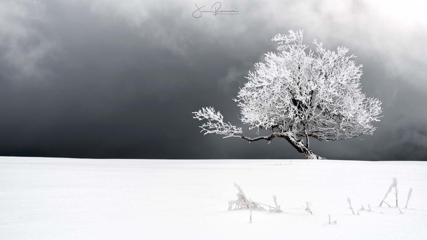 Creux-du-Van-minimalisme-workshop-arbre-cours-photo