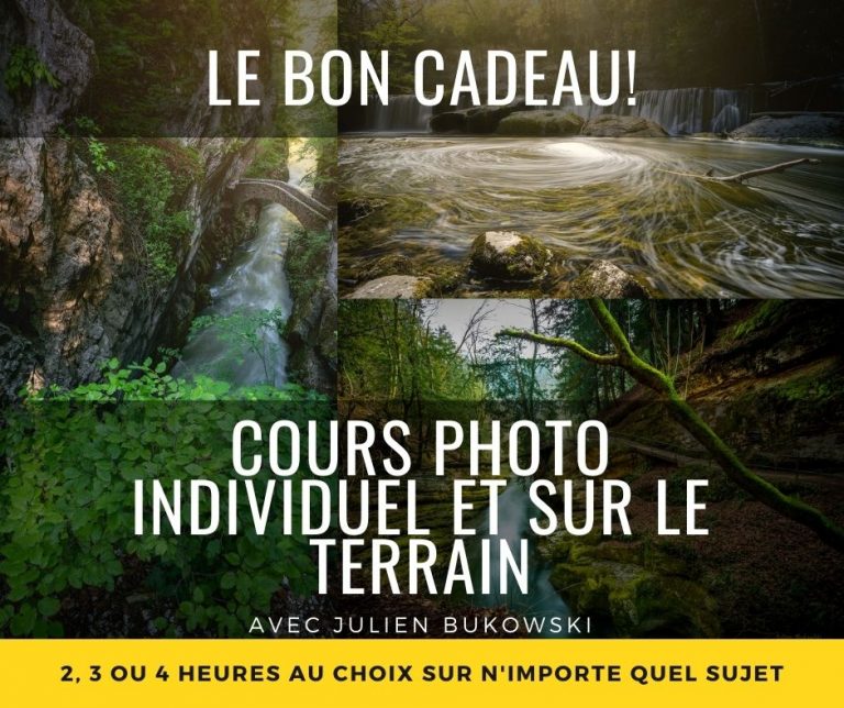 Bon cadeau Cours Photos individuel sur le terrain