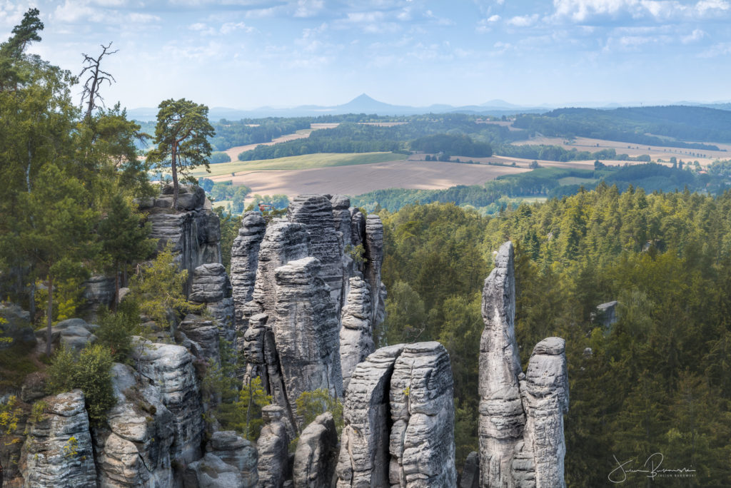 Prachovske Skaly-République Tchèque-Tchéquie-Canyon tchèque-arbres-réserve naturelle-rochers-tirage photo-Julien Bukowski