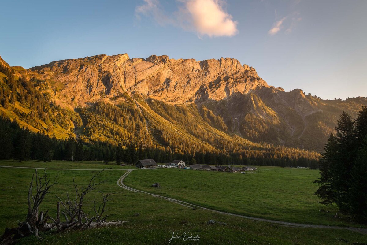 Solalex (Suisse)