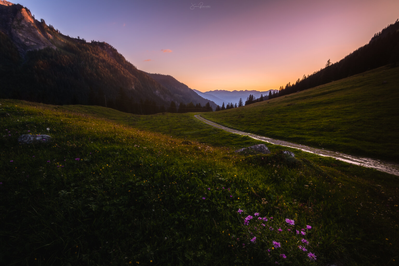 Un soir dans les Alpes (Solalex   Suisse)