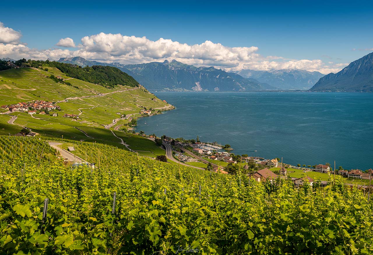 Les vignes du Lavaux (Suisse - Vaud)