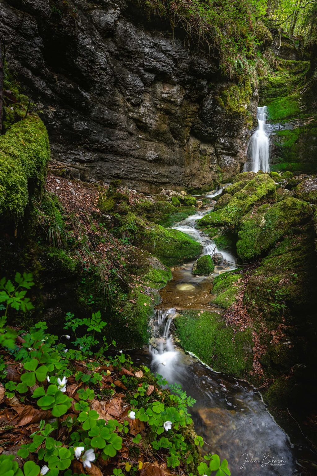 La tortueuse (Gorges de la Poeta Raisse - Suisse)