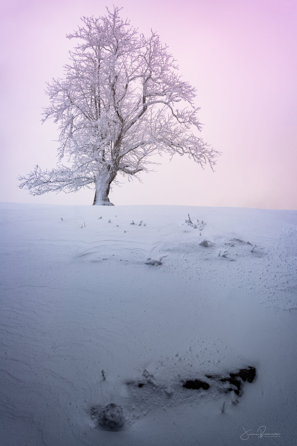 Magic colors (Creux du Van - Suisse)