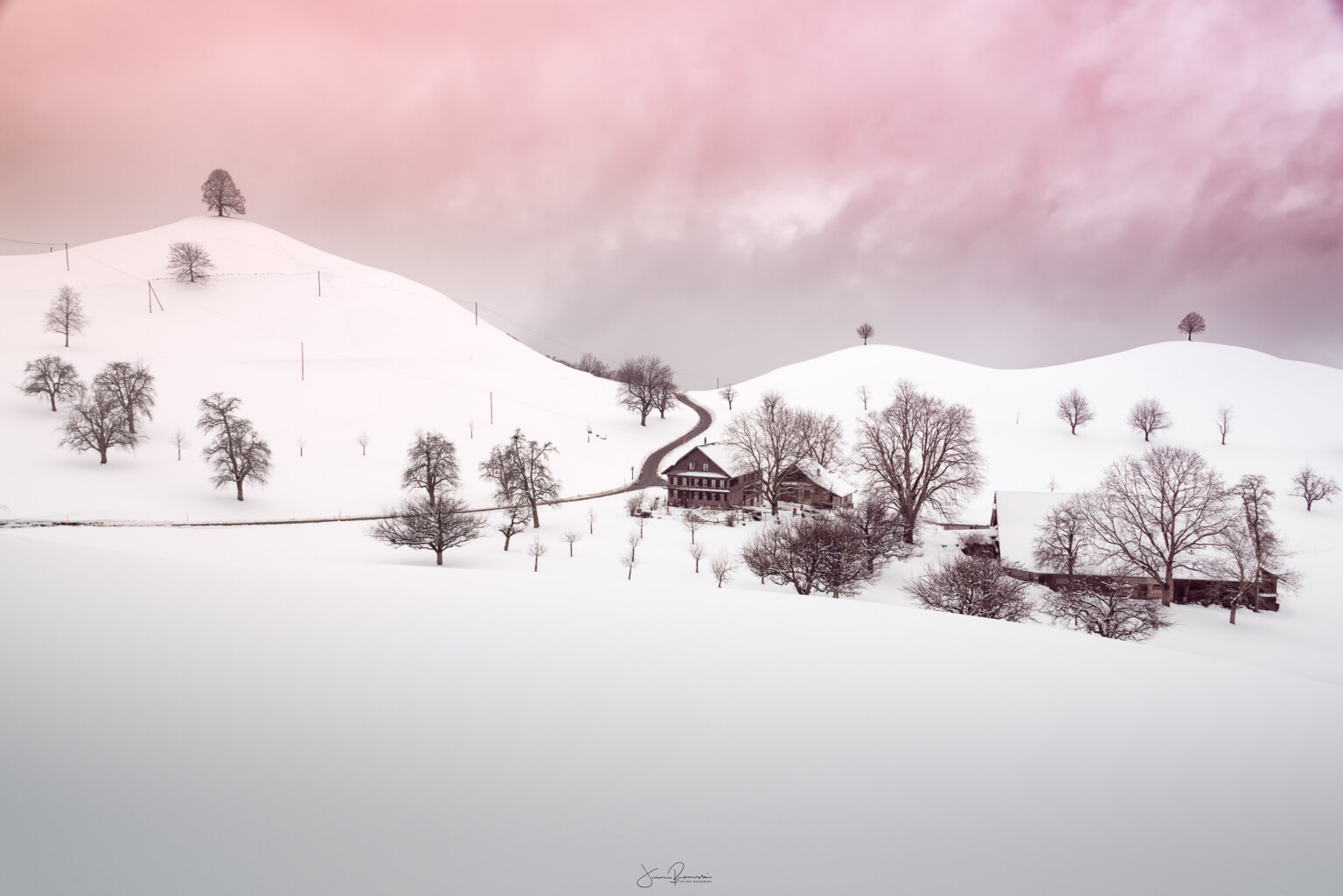 Paradise in winter (Zoug - Suisse)