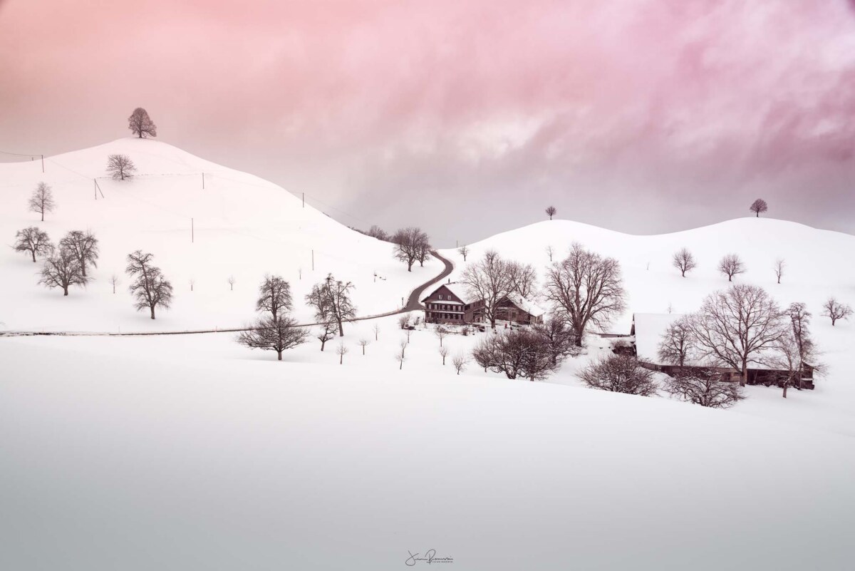 Paradise in winter (Zoug - Suisse)