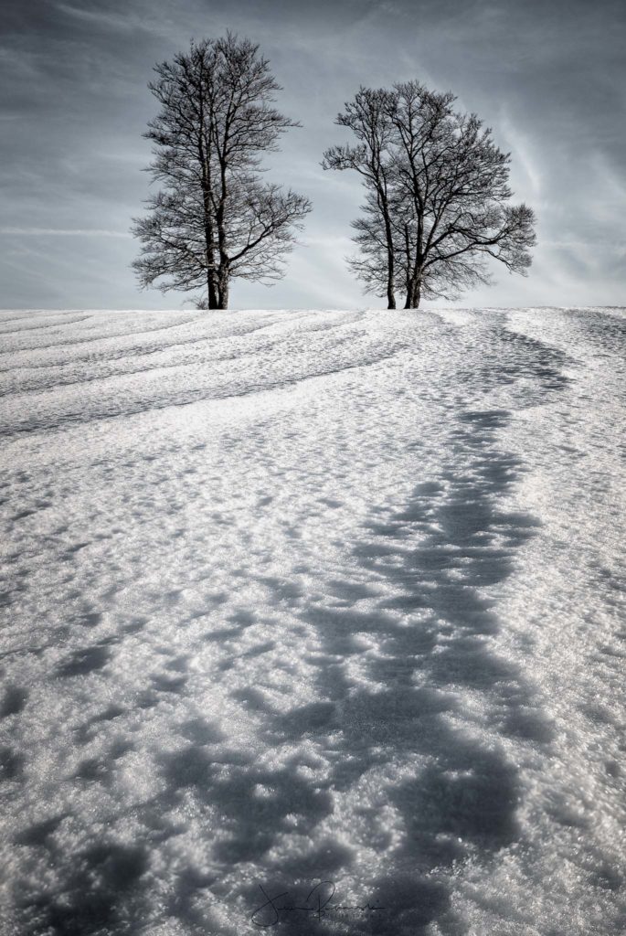 Fear of the snow (Creux du Van - Suisse)