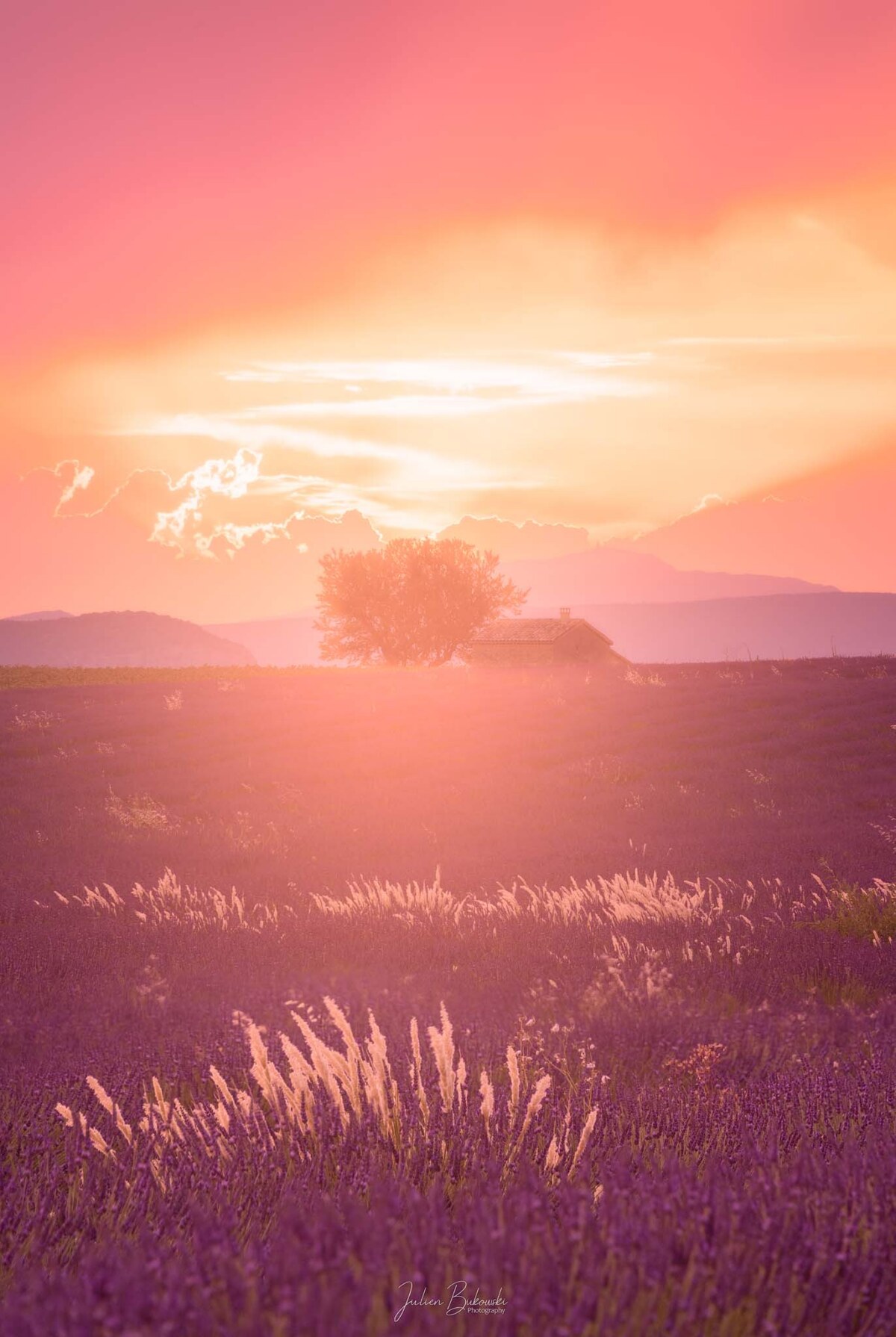 Coucher de soleil magique (Valensole - France)