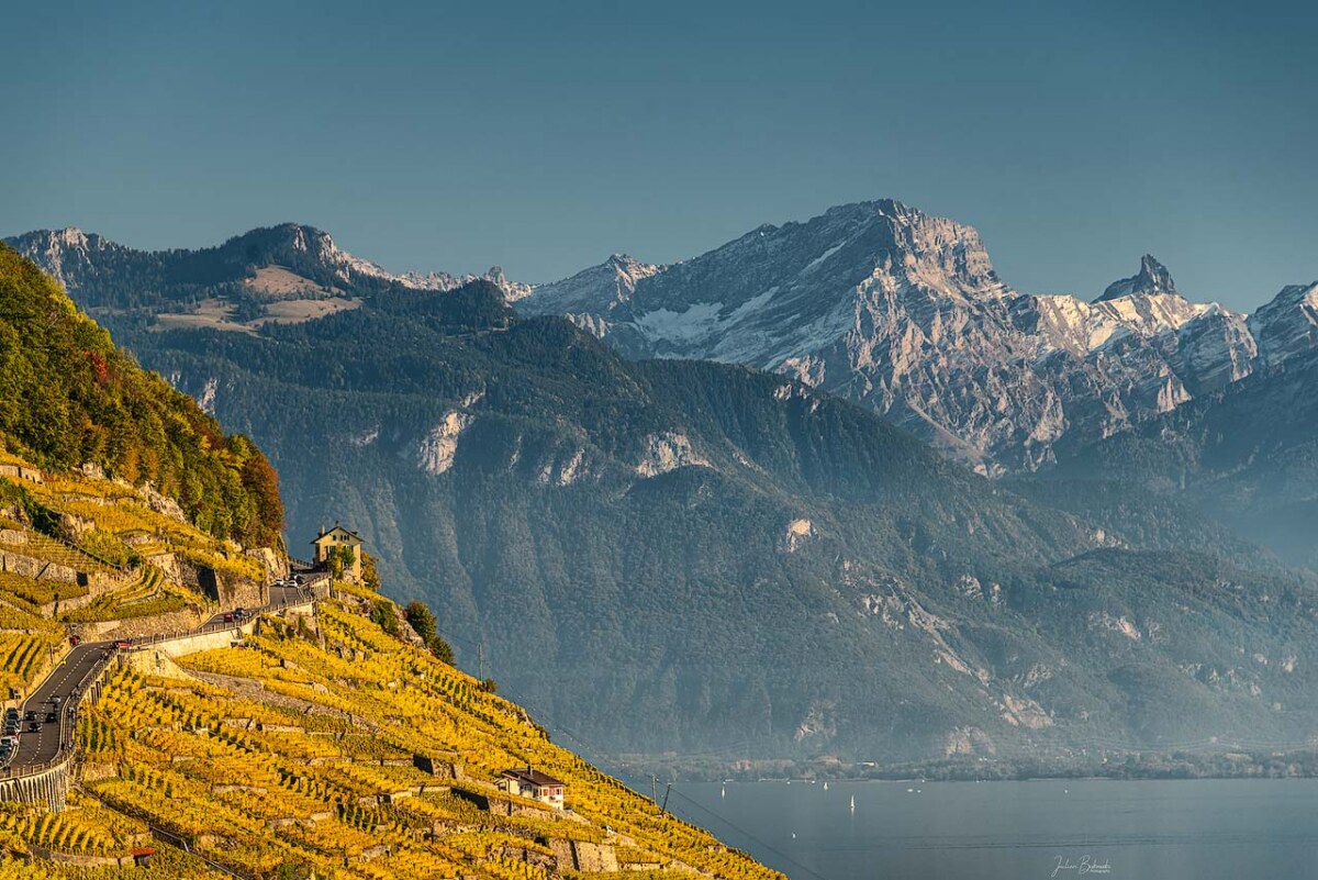 Terrasses de vignes du Lavaux en automne, Alpes en arrière-plan