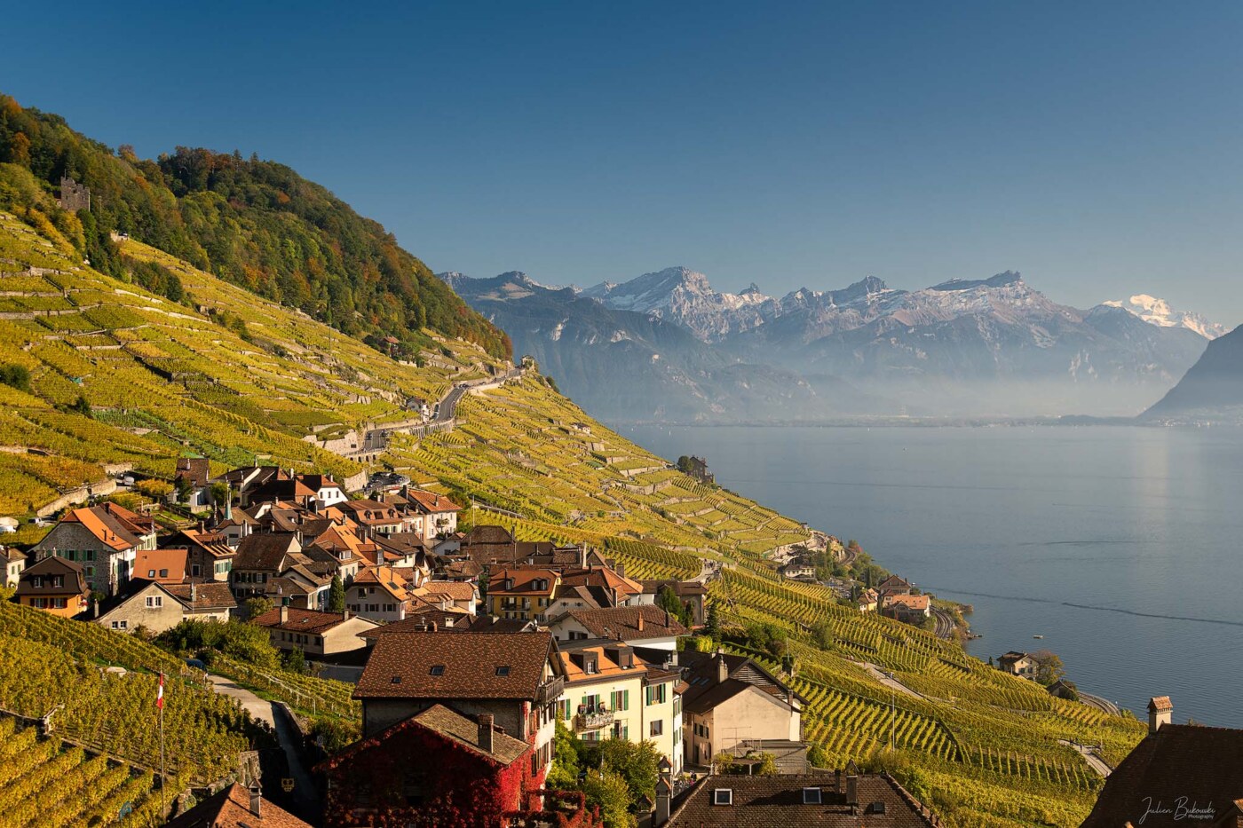 Saint-Saphorin et les terrasses du Lavaux en fin de journée