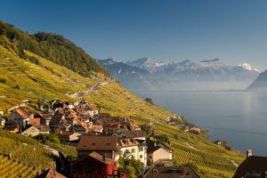DSC5558 w Le Lavaux (Vaud)