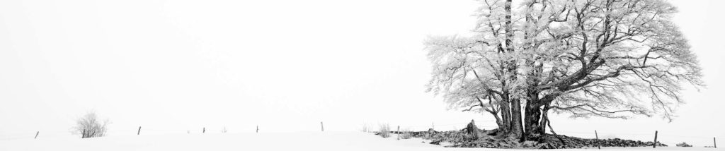 Solitude (Creux du Van - Suisse)