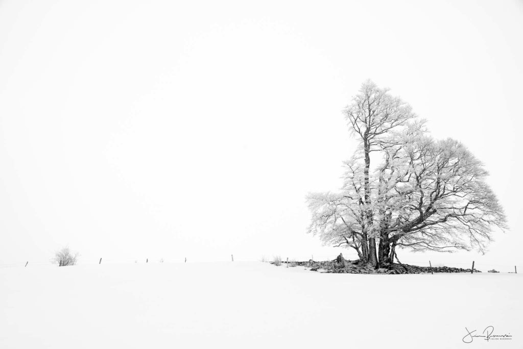 Solitude (Creux du Van - Suisse)