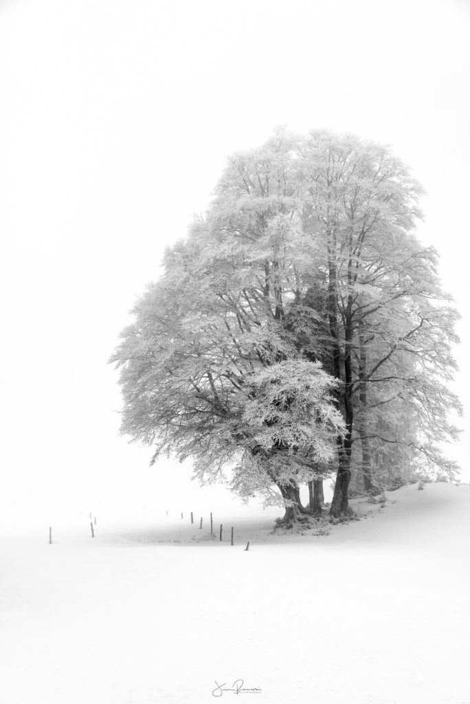 Le chemin (Version verticale) - Après