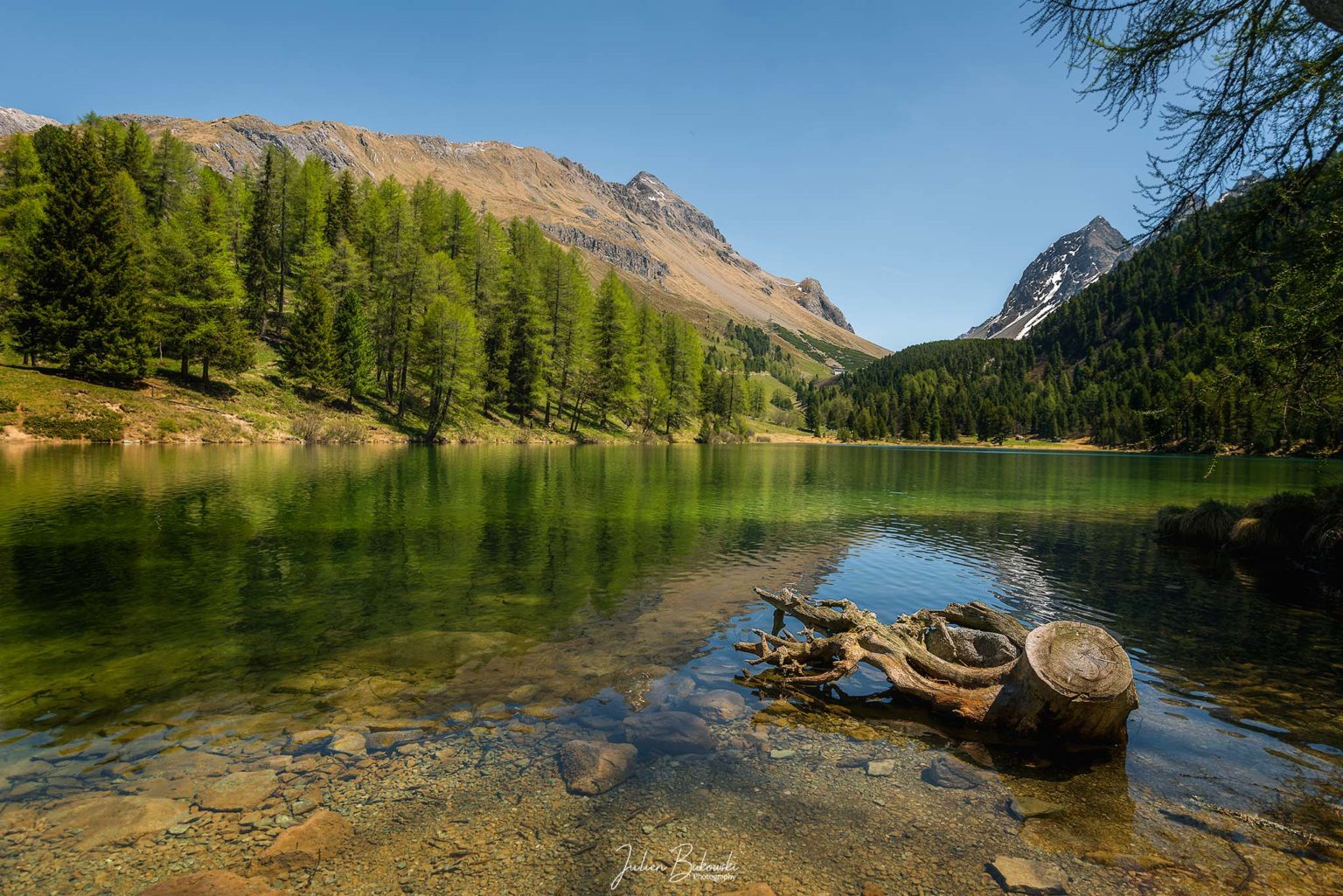 Green lake (Grisons - Suisse)
