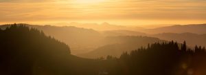 Golden Light-Canton de Neuchâtel-Suisse-coucher du soleil-lumière dorée-heure dorée-panorama-Julien Bukowski-photo de paysage