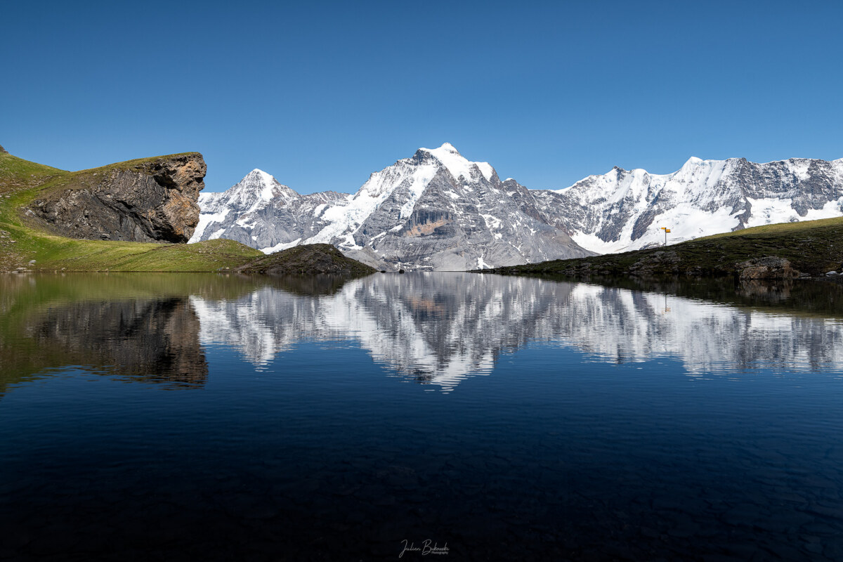 Grauseewli (Schilthorn - Suisse)