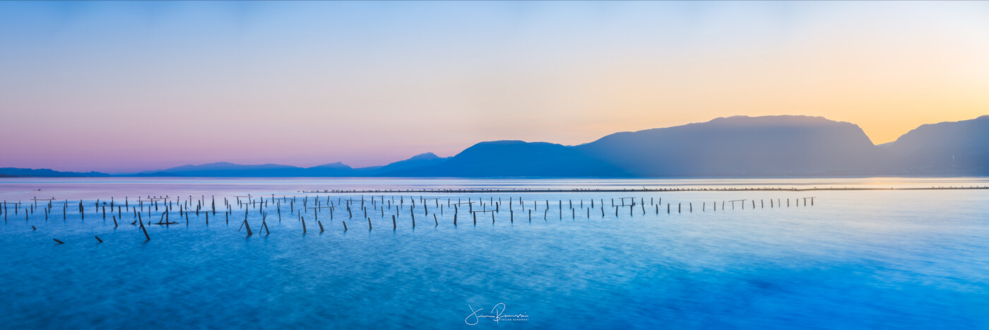Panorama de la réserve (Cudrefin - Suisse)