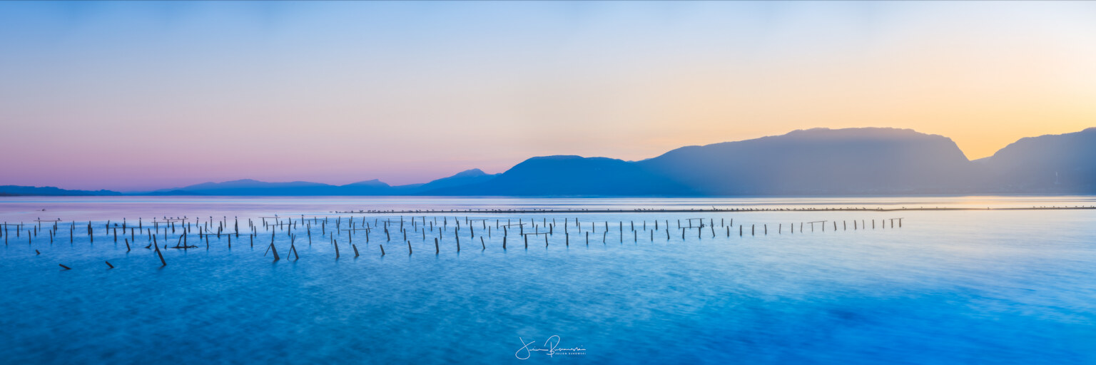 Panorama de la réserve (Cudrefin - Suisse)