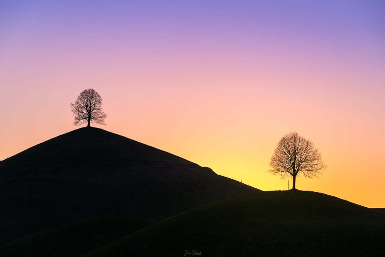 DSC8915 w Magical tree (Hirzel - Suisse)