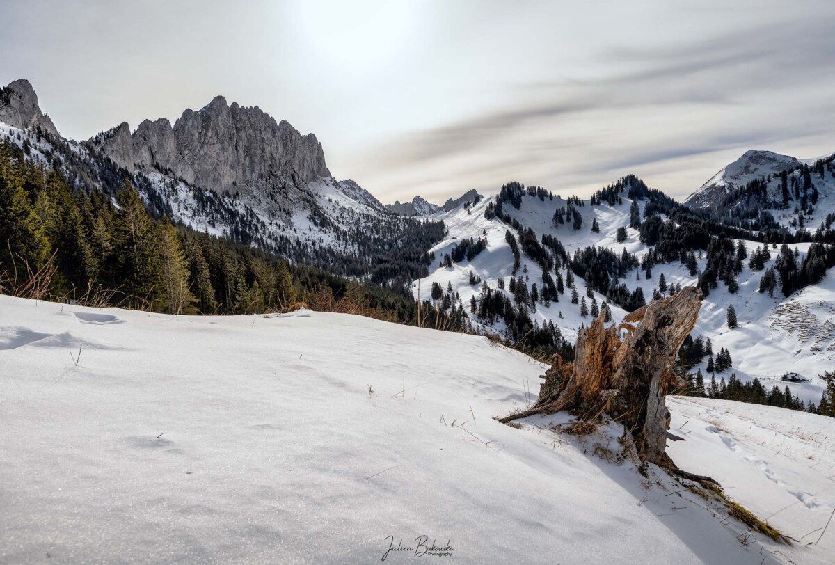 Gastlosen (Suisse)