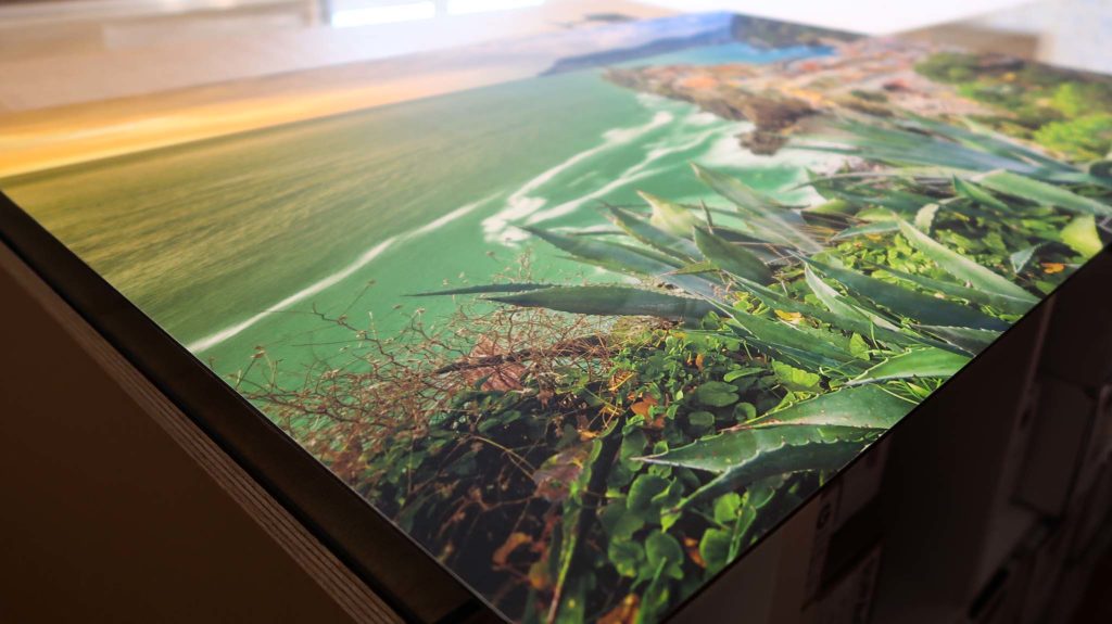 IMG 1522 w Coin d'un tirage photographique posé à plat, surface légèrement brillante : une côte avec de l'eau verte et des plantes aux longues feuilles au premier plan