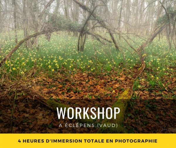 Workshop Photo à Eclépens