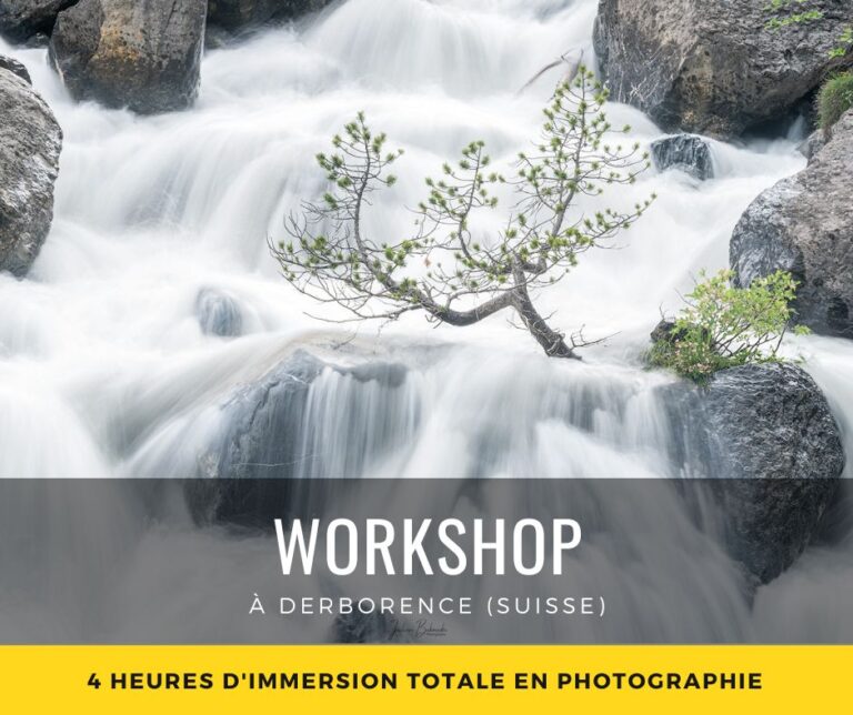 Workshop à Derborence